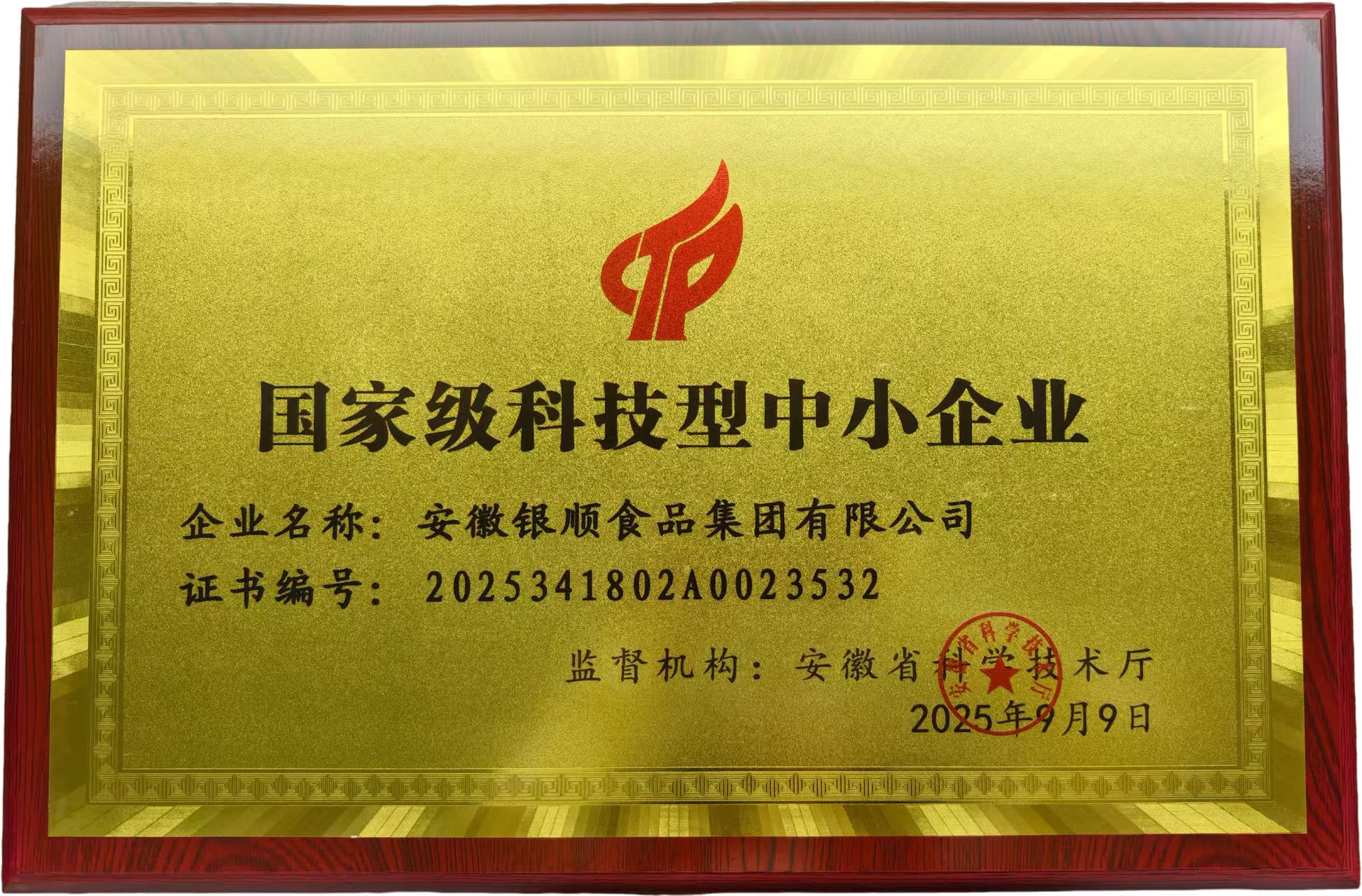 国家级科技型中小企业企业